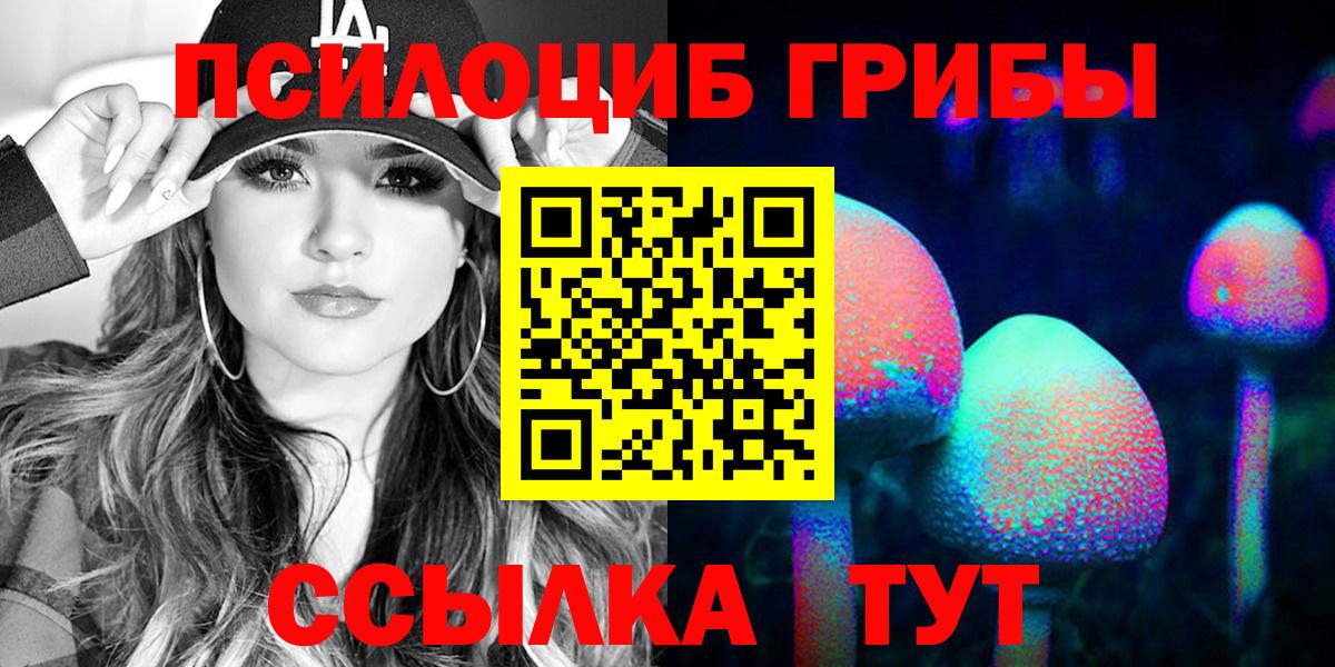 Галлюциногенные грибы мицелий  Псилоцибиновые грибы Cubensis  как найти закладки  Свободный  Вход с VPN 