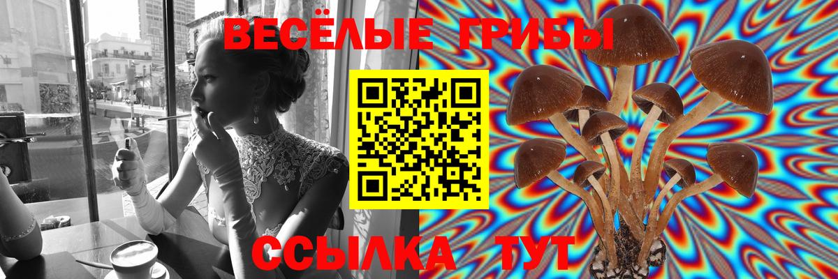 Галлюциногенные грибы Magic Shrooms Свободный